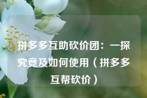 拼多多互助砍价团：一探究竟及如何使用（拼多多互帮砍价）  第1张