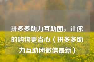 拼多多助力互助团，让你的购物更省心（拼多多助力互助团微信最新）  第1张