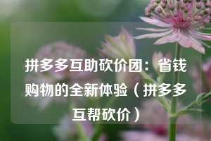 拼多多互助砍价团：省钱购物的全新体验（拼多多互帮砍价）  第1张