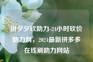 拼夕夕砍助力-24小时砍价助力网，2024最新拼多多在线刷助力网站  第1张