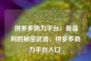  拼多多助力平台：新福利的秘密武器，拼多多助力平台入口 第1张