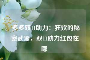  多多双11助力：狂欢的秘密武器，双11助力红包在哪 第1张